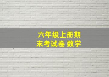 六年级上册期末考试卷 数学